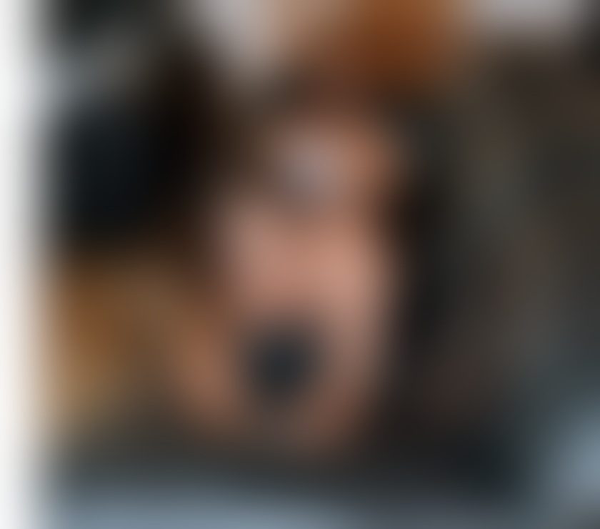 Trans Escorts Gloucestershire Gloucester - Photos for NATASHA TS NEW IN TOWN ONLY OUTCALLS PARTY